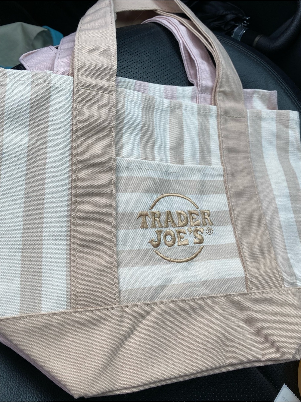 Striped Canvas Tote Bag in Beige and White